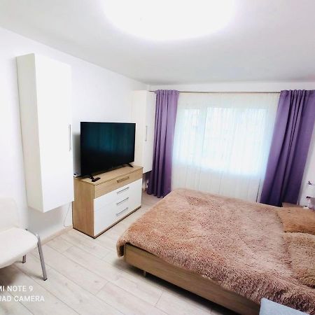Garsoniera Daniela Apartment Tirgu Ocna Luaran gambar