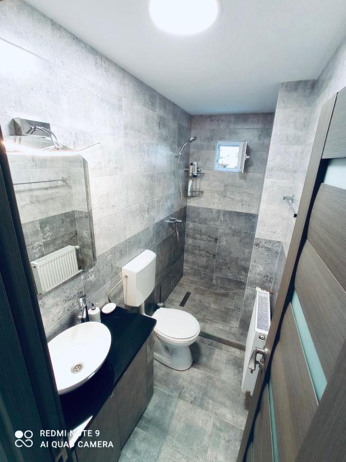 Garsoniera Daniela Apartment Tirgu Ocna Luaran gambar
