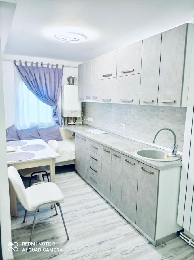 Garsoniera Daniela Apartment Tirgu Ocna Luaran gambar
