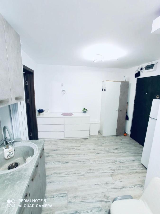 Garsoniera Daniela Apartment Tirgu Ocna Luaran gambar