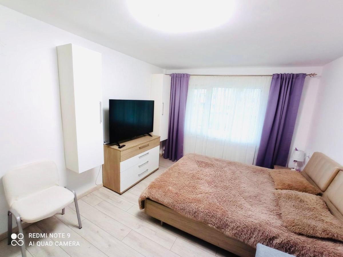 Garsoniera Daniela Apartment Tirgu Ocna Luaran gambar
