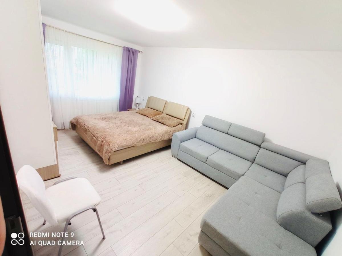 Garsoniera Daniela Apartment Tirgu Ocna Luaran gambar